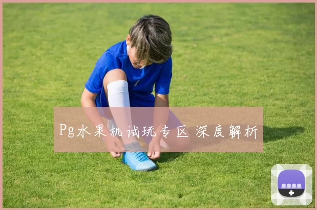 Pg水果机试玩专区 深度解析