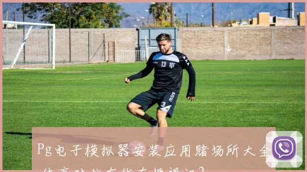 Pg电子模拟器安装应用赌场所大全 体育对抗在线直播视讯2