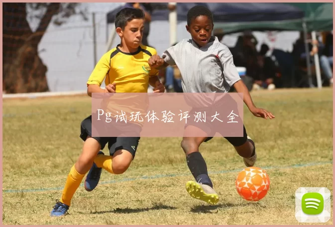 Pg试玩体验评测大全