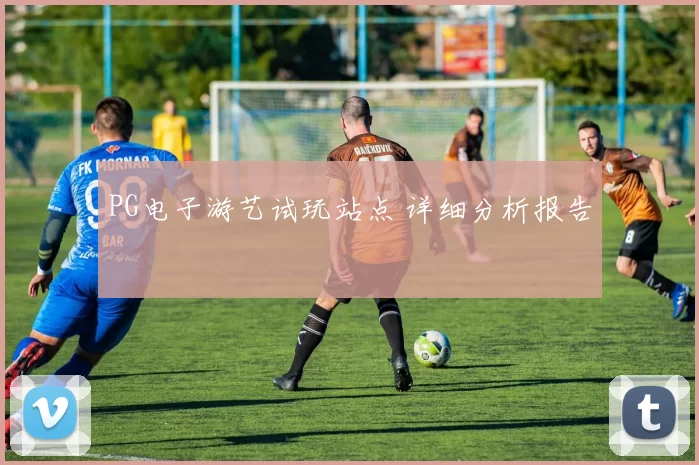 PG电子游艺试玩站点 详细分析报告