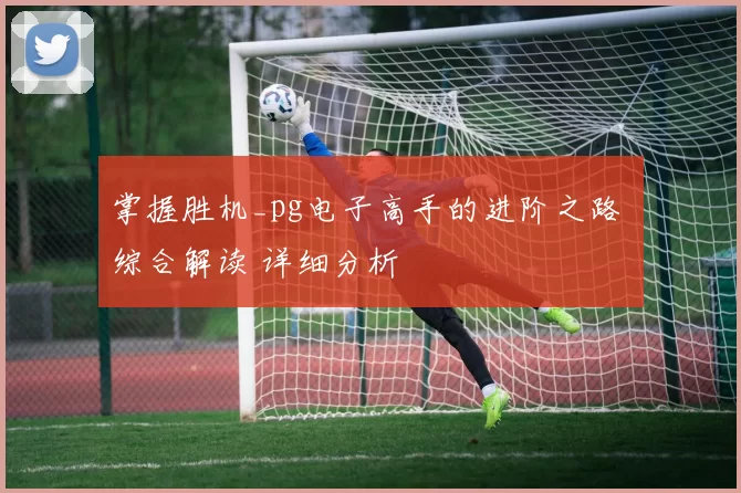 掌握胜机_pg电子高手的进阶之路 综合解读 详细分析