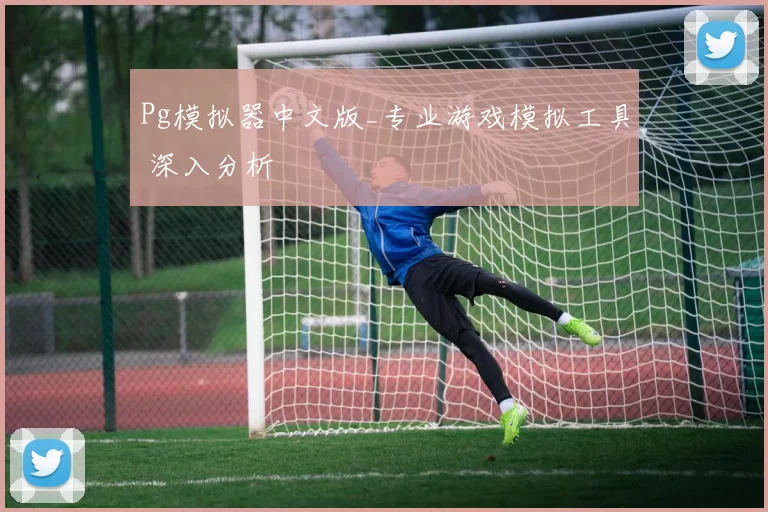 Pg模拟器中文版_专业游戏模拟工具 深入分析