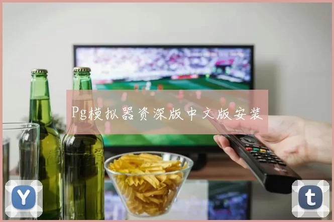 Pg模拟器资深版中文版安装