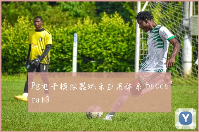 Pg电子模拟器玩乐应用体系 baccarat3