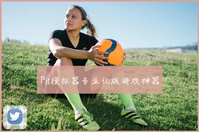 Pg模拟器专业化版游戏神器