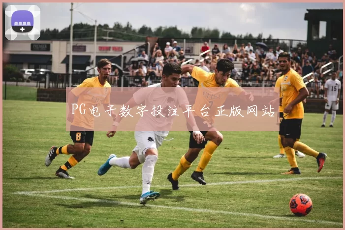 PG电子数字投注平台正版网站