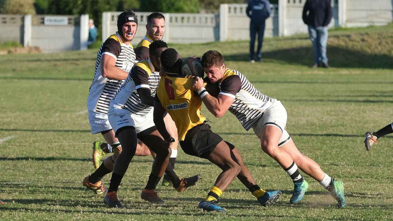 Pg模拟器中文版游戏网站pg电子棋牌